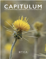 First volume of Capitulum is out!
