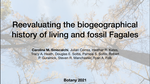 Reevaluating the biogeographical history of living and fossil Fagales